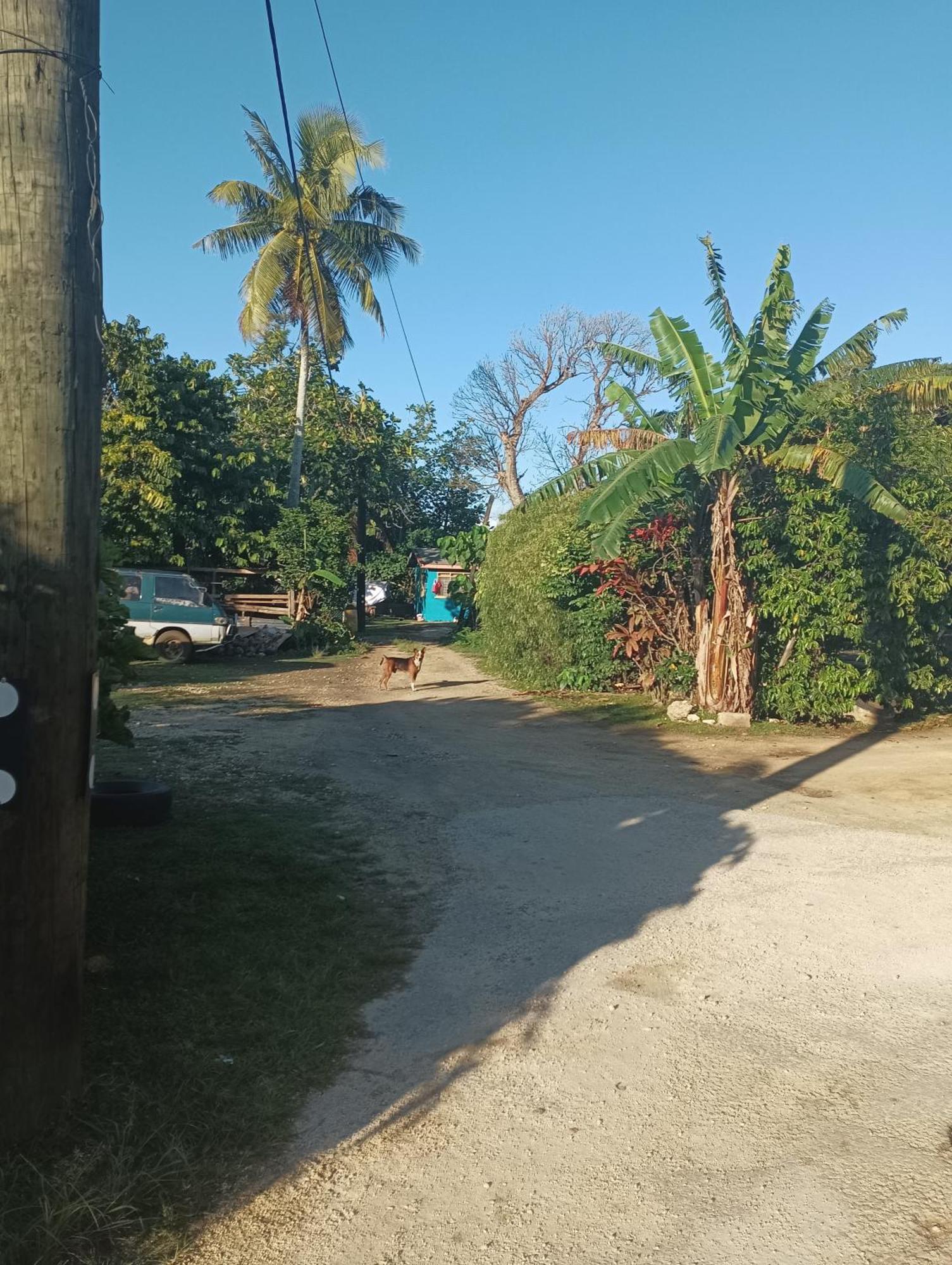 Kapeta Cabin Nuku'alofa Εξωτερικό φωτογραφία